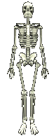 rotating skeleton